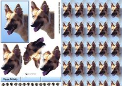 German Shepherd 2 Portrait 3D Decoupage with Background