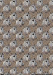 Fox Terrier Portrait Background