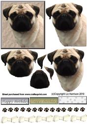 Pug Dog Portrait 3D Decoupage