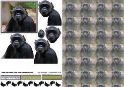 Chimpanzee 3D Decoupage with Background