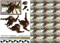 Orangutan Smiling 3D Decoupage with Background