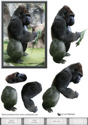 Gorilla 3D Decoupage