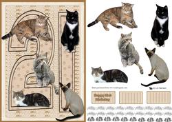 Cats 21st 3D Decoupage