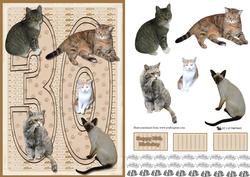 Cats 30th 3D Decoupage