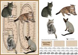Cats 50th 3D Decoupage