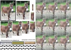 Donkey Pyramid with Background