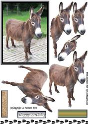 Donkey 3D Decoupage