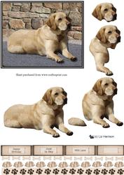 Golden Labrador Scene 3D Decoupage