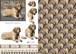Golden Labrador Scene 3D Decoupage & Background