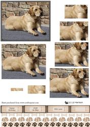 Golden Labrador Scene Pyramid