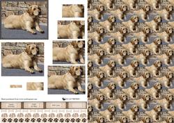 Golden Labrador Scene Pyramid & Background