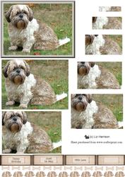 Shih Tzu Dog Pyramid