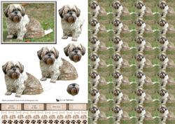 Shih Tzu Dog 3D Decoupage with Background