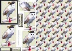 Barn Owl Cogratulations Pyramid & Background