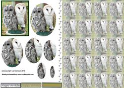 Owls Pyramid with Background