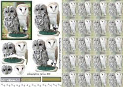 Owls 3D Decoupage with Background