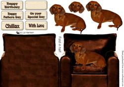 Dachshund in an Arm Chair