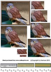 Kestrel Pyramid