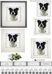 Staffordshire Bull Terrier,black & White Portrait Pyramid