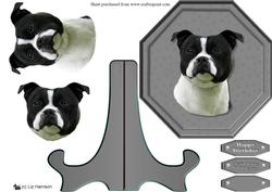 Stafordshire Bull Terrier ,black & White,plaque