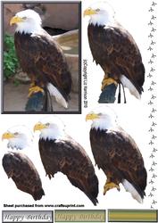 Bald Eagle 3D Decoupage