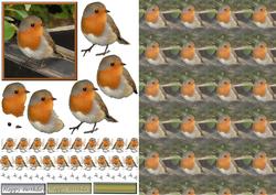 Robin 3D Decoupage with Background