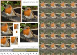 Robin Pyramid with Background