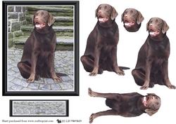 Chocalate Labrador Scene 3D Decoupage