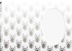 West Highland White Terrier 1 Insert