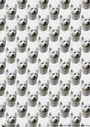 Westie 4 Portrait Background