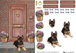 German Shepherd Puppy on a Door Step