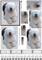 Old English Sheepdog Laid Pyramid