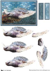 Turtle Scene 3D Decoupage