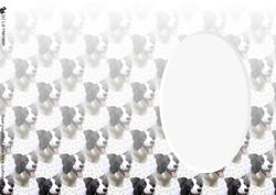 Border Collie Portrait Insert
