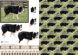 Border Collie Scene 3D Decoupage & Background