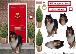 Collie Red Door Step Scene 3D Decoupage