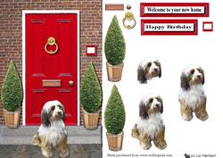 Tibetan Terrier Red Door Step Scene