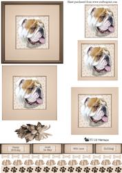 Bulldog Portrait 1 Pyramid