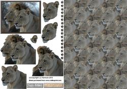 Lion & Lioness Portrait 3D Decoupage with Background