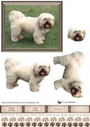 Lhasa Apso Scene 3D Decoupage