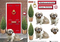 Shih Tzu with a Red Door
