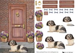 Shih Tzu Door Step Scene