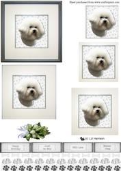 Bichon Frise Portrait Pyramid