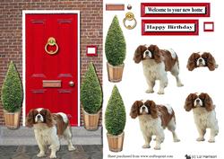 Cavalier King Charles Spaniel with a Red Door