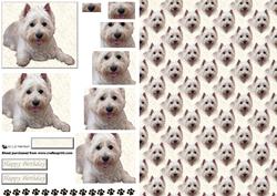 Westie Laid Pyramid with Background