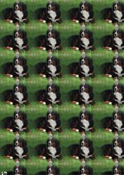 Bernese Mountain Dog Background Sheet