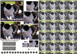 Border Collie Pyramid with Background