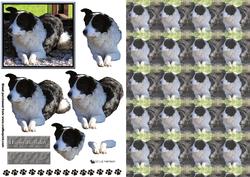 Border Collie 3D Decoupage with Background