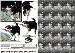 Happy Dog with Stick 3D Decoupage with Background