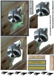 Raccoon Peeping 3D Decoupage